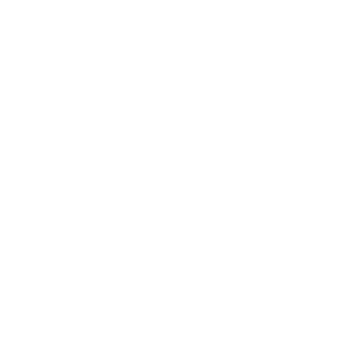BluArmor